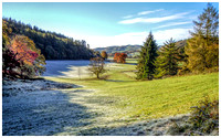 Early Morning Autumnal Frost Grizdale Forest Lake District By Danny Godfrey