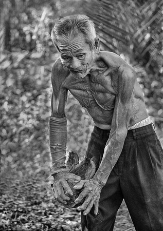 Hard Labour at the Coconut Farm in Vietnam