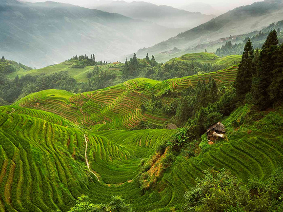 China Terraces By Stan Spurling