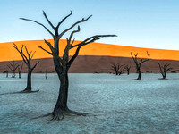 Dead Velt Namibia By Stan Spurling