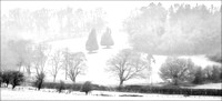 19 Pts 'Winter Mist' By Richard Martin