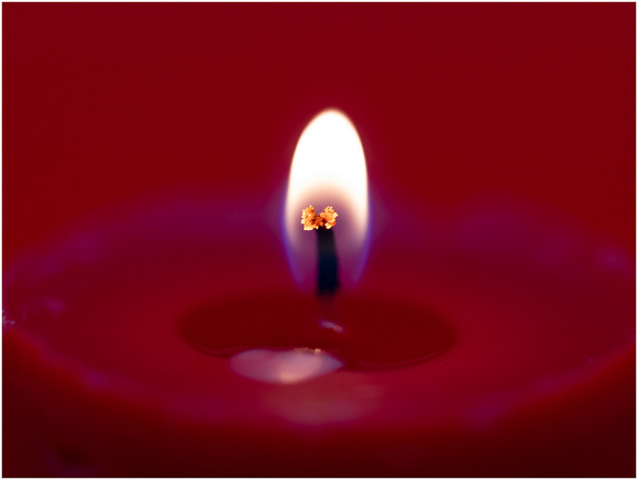 1st Place 'Burning Bright' By Pauline Pearce