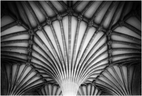 'Vaulted ceiling' By Bill Metson