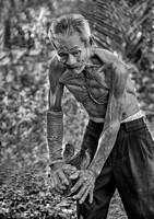 Hard Labour at the Coconut Farm in Vietnam