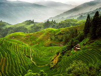 China Terraces By Stan Spurling