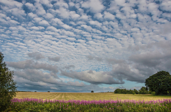 Cheshire skyscape by Richard Martin