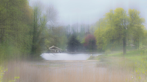 The Lake House by Richard Martin