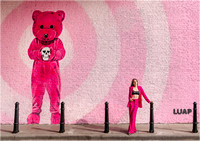 The Pink Panda by Wayne Daniels